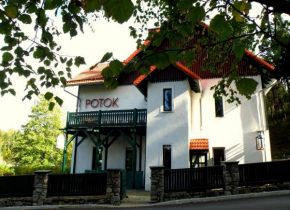 Гостиница Dom Potok, Карпач